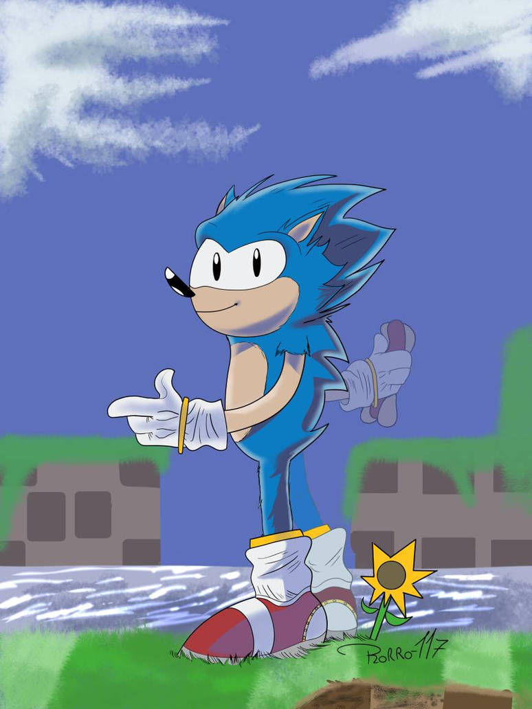 Sonic Rory Sonic! (Rorro117) by Rorro117 on DeviantArt