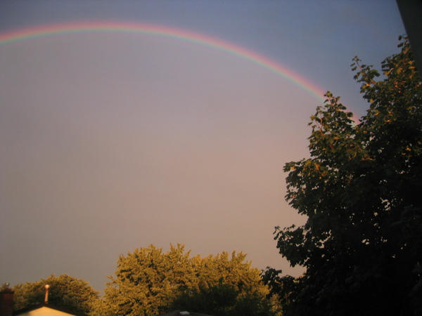 Rainbow By Kiraelizabeth On DeviantArt