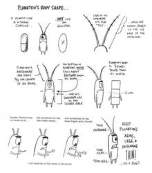 How to Draw Plankton: Movie Crew Tip Sheet