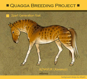 Q2 foal