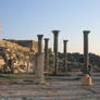 roman Ruins 20