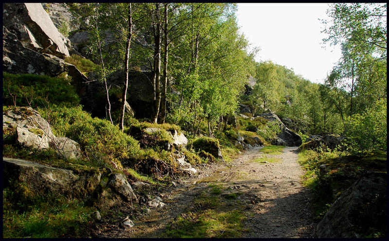 Walking in rocky land