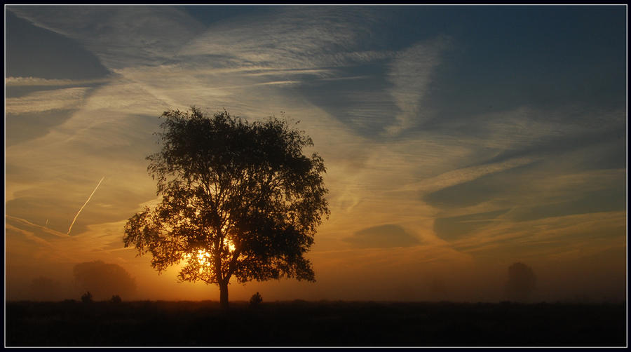 Weaving the sky