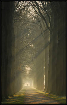 Cycling towards the light