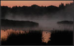 Early at the forest lake by jchanders