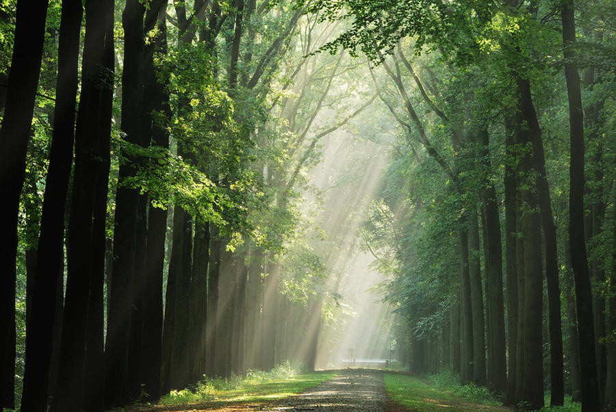 On the fairytale lane by jchanders on DeviantArt