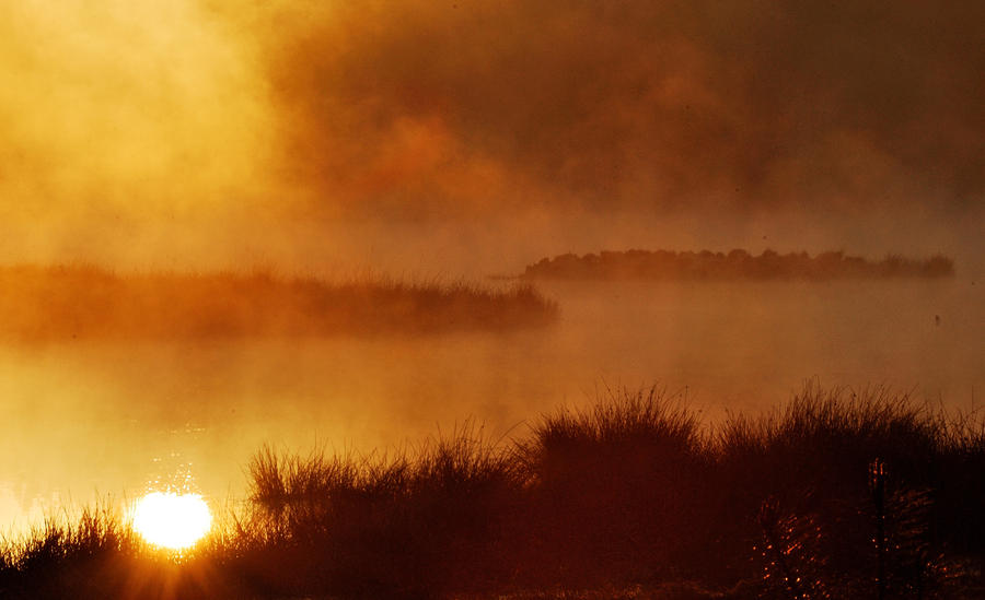 Forest lake morning mystery