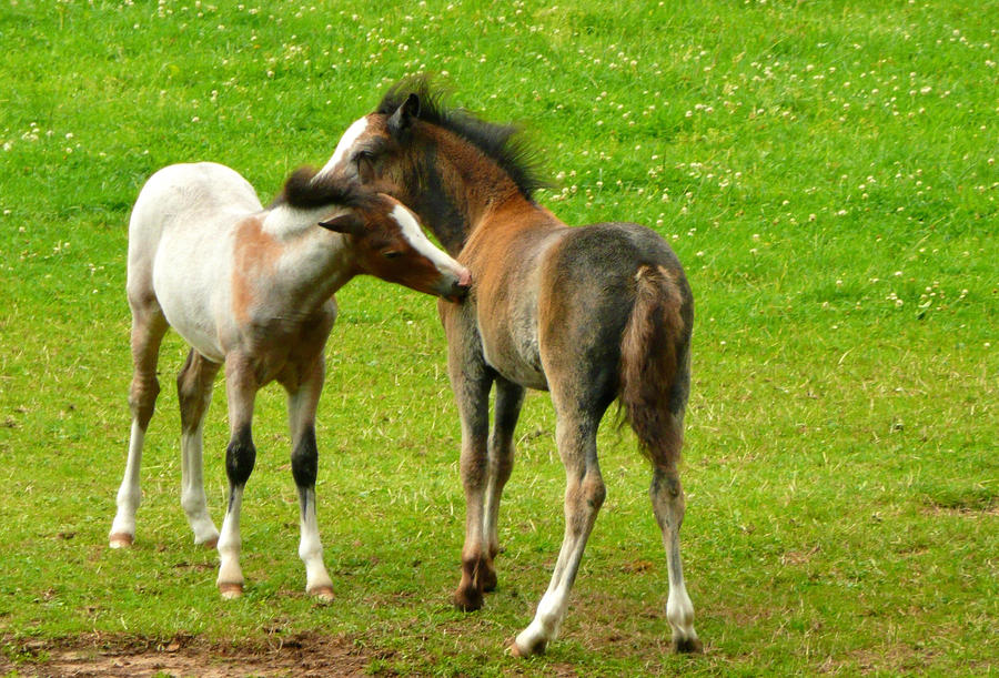 Caring for each other