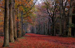 A late autumnal lane by jchanders