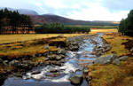 A little stream in Scotland by jchanders