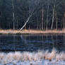 There was ice on the lake