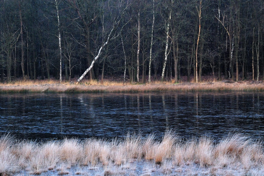 There was ice on the lake