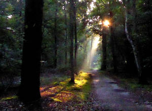 Meeting the morning sun