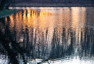 At the morning pond