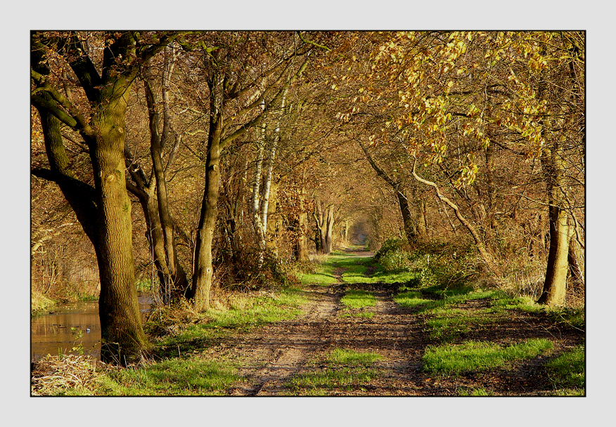 December sunshine path