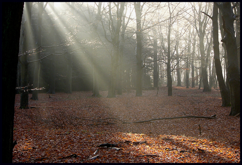 More sunlight beams