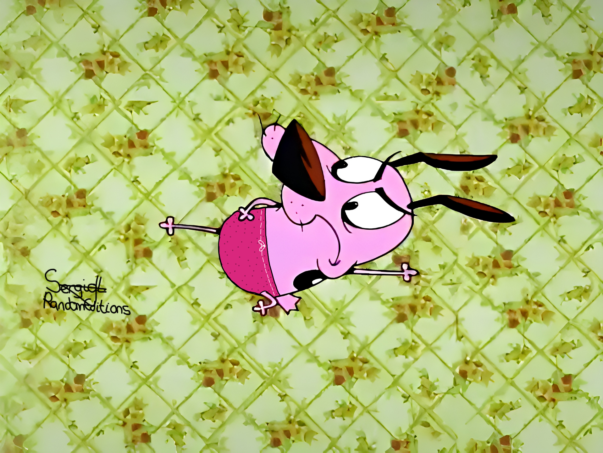 Dog sales speedo swimsuit