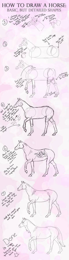 How to draw a horse: Basic shapes, detailed horse