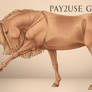 Greyscale Horse (P2U)