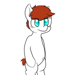 Pony oc cutie