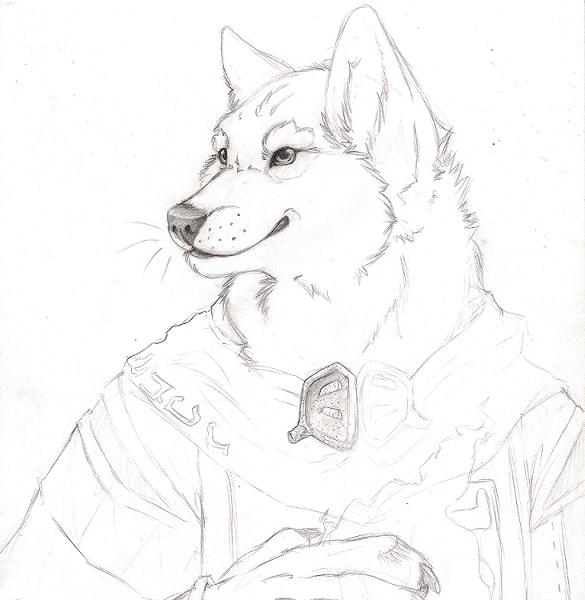 White Mage Wolf -WIP by anuvia on DeviantArt