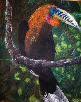 Toucan (Pastel on paper, 16x20)