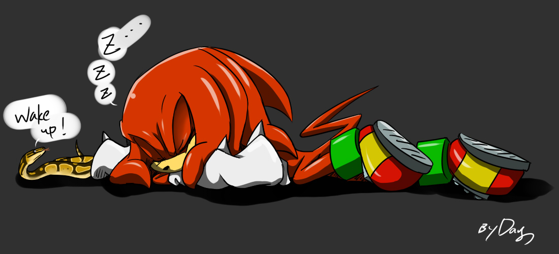 Knuckles Sleep Wake up Knuckles! by amberday on DeviantArt
