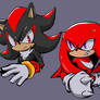 Shadow and Knuckles