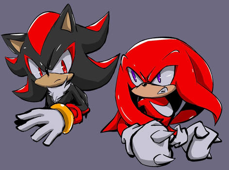 Shadow and Knuckles