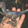 Jurassic World - Raptor - Blue