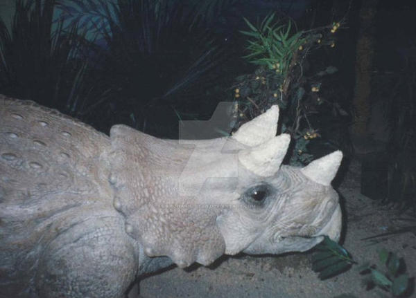 Jurassic Park Expo - Argentina 1990s D