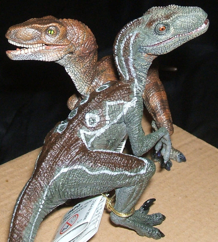 Save the Raptor - 2005 2016 by Mechanic-Star on DeviantArt