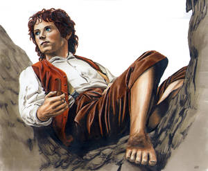 Frodo Baggins