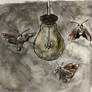 Moths Around a Light