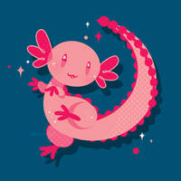 Misc - Axolotl
