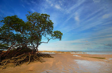 Morro de Sao Paulo