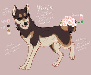 Hishi ref