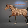 Horse Adopt (Closed)