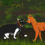 Intothewild - Smudge and Firepaw