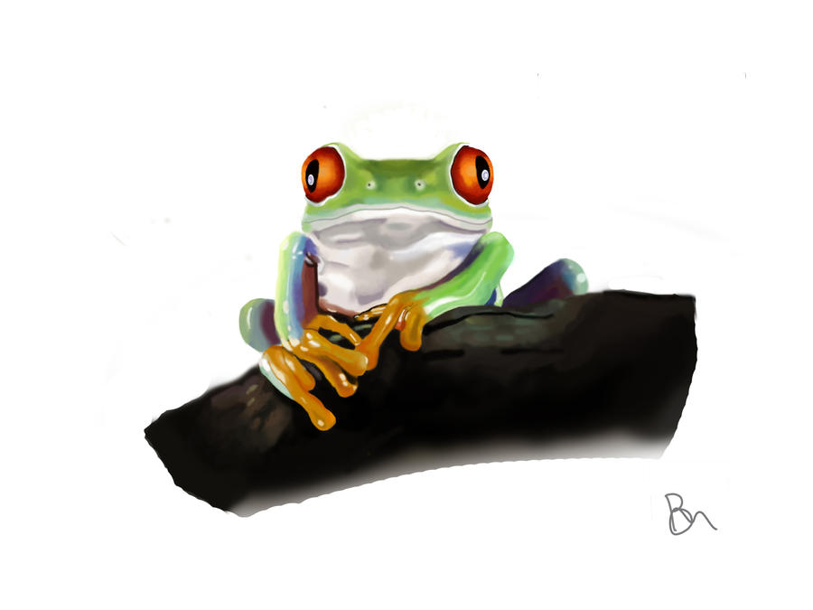 Frog