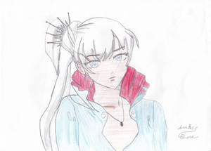 Weiss Schnee2