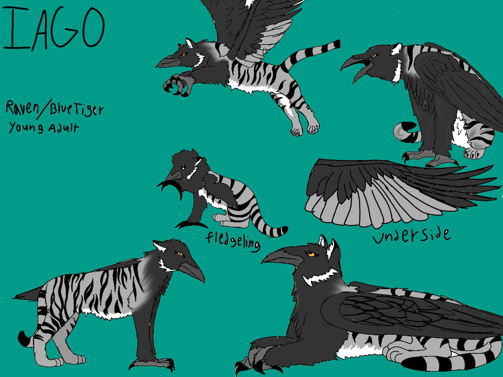Iago reference sheet by TARDISCHASER42 on DeviantArt
