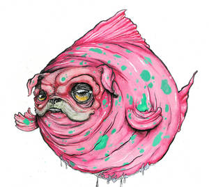 Pug Fish by sbelmarsh