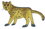 Can Change These Spots -trade- by Songdogx