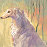 Borzoi