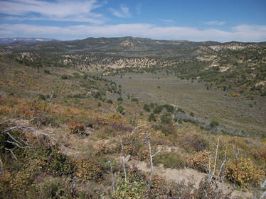 Sagebrush Valley