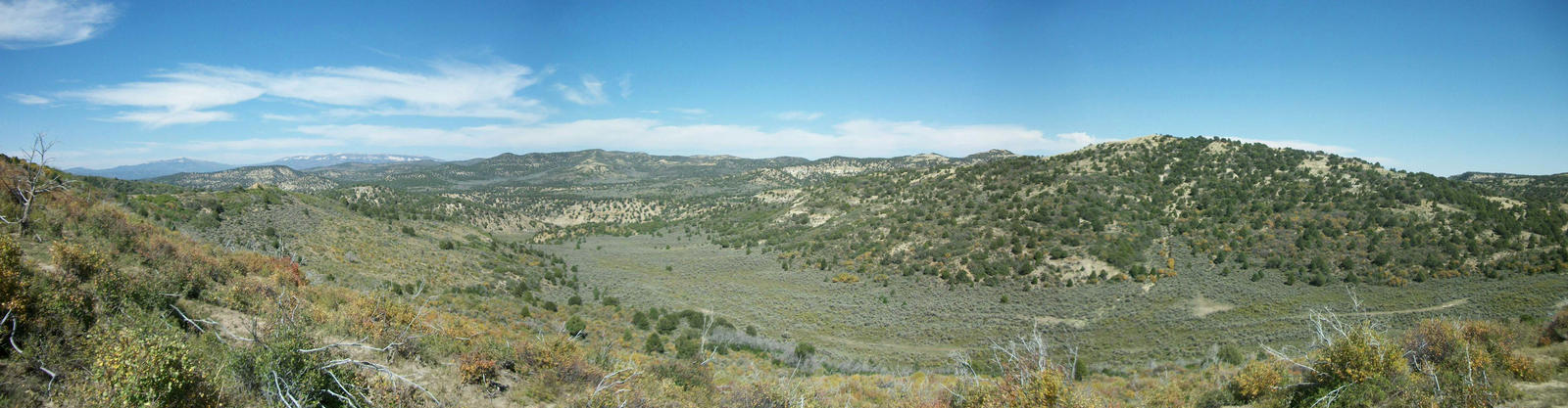 Sagebrush Panorama