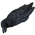 Dead Raven (35 B) by AlphaStryx