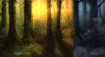 Deep Forest Background Pack by AlphaStryx
