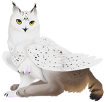 Bobtailed Griff by AlphaStryx